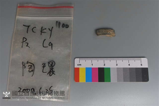 陶環藏品圖，第1張