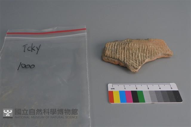 陶片藏品圖，第1張