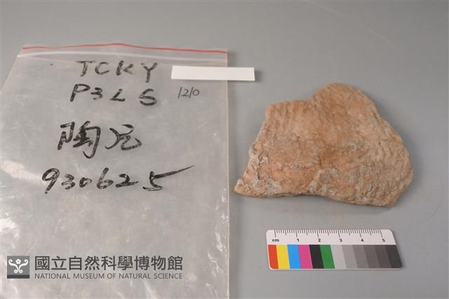 陶片藏品圖，第1張