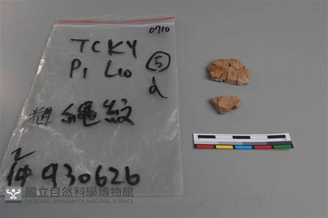 陶片藏品圖，第1張