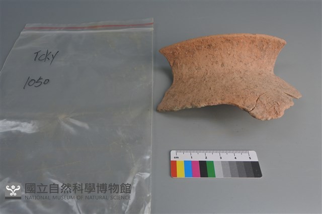 陶片藏品圖，第1張