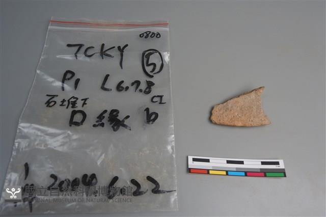 陶片藏品圖，第1張