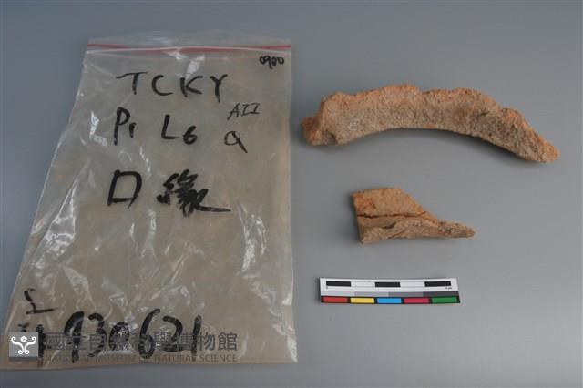 陶片藏品圖，第1張