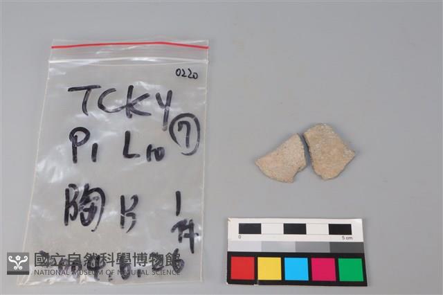 陶片藏品圖，第1張