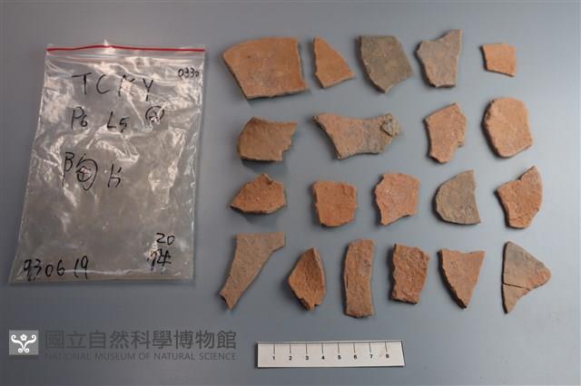 陶片藏品圖，第1張