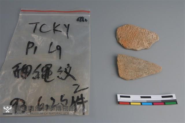 陶片藏品圖，第1張