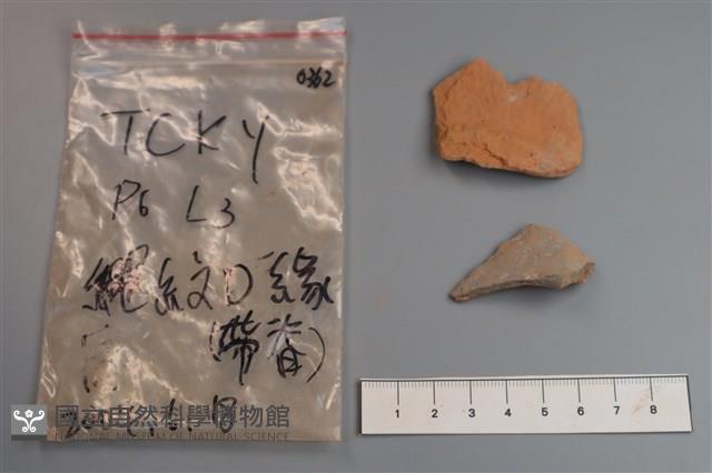 陶片藏品圖，第1張