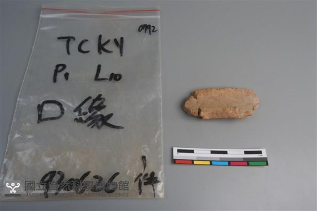 陶片藏品圖，第1張