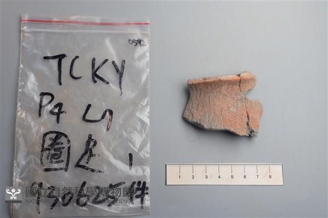 陶片藏品圖，第1張