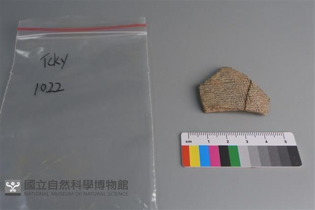 陶片藏品圖，第1張