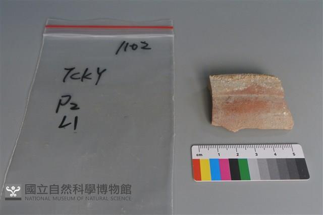 陶片藏品圖，第1張