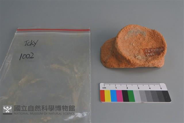 陶碗藏品圖，第1張