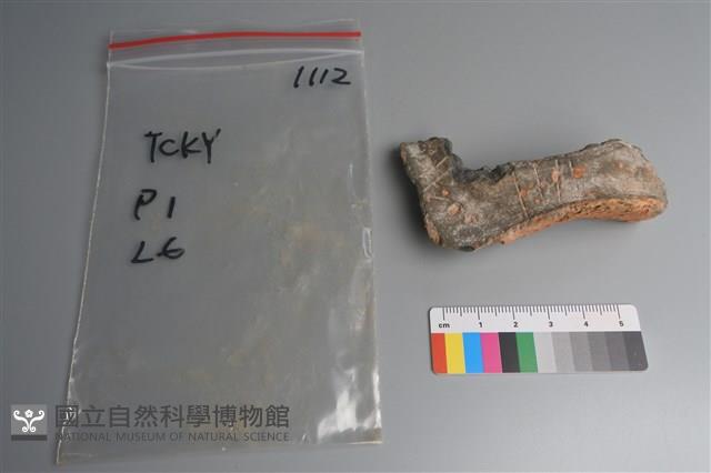 連杯形器藏品圖，第1張