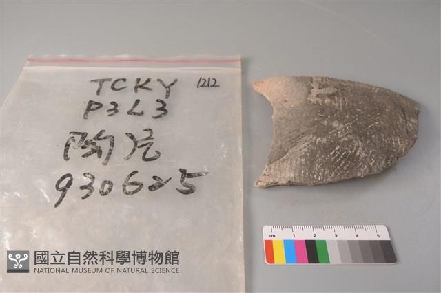 陶片藏品圖，第1張