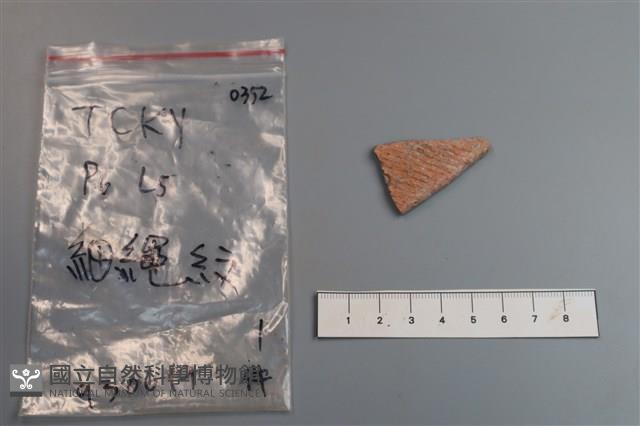 陶片藏品圖，第1張