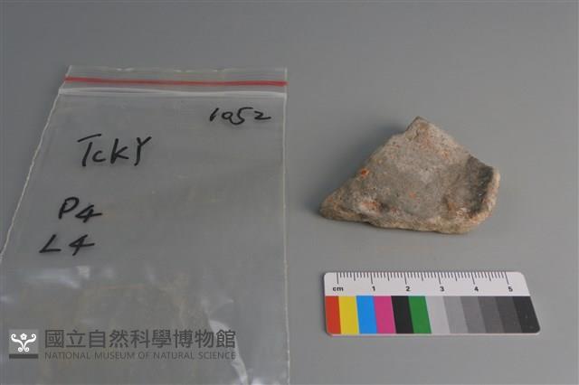 陶片藏品圖，第1張