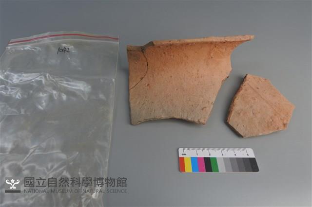 陶片藏品圖，第1張