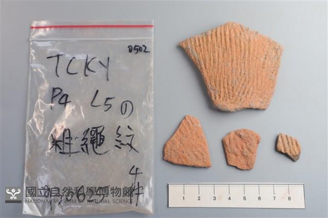 陶片藏品圖，第1張
