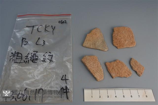 陶片藏品圖，第1張