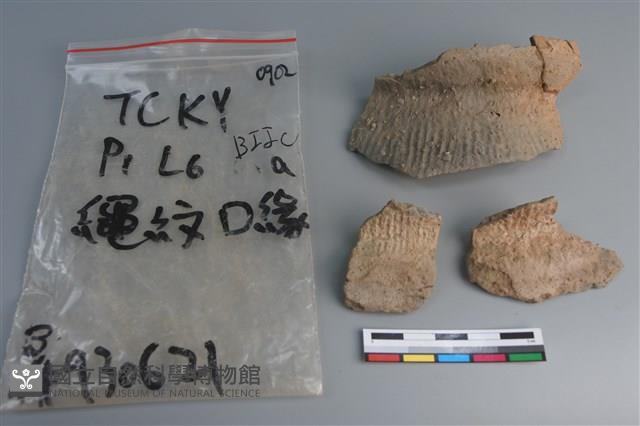 陶片藏品圖，第1張