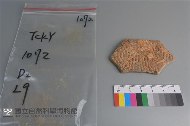 陶片藏品圖，第1張