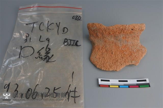 陶片藏品圖，第1張