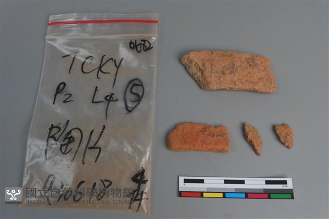 陶片藏品圖，第1張