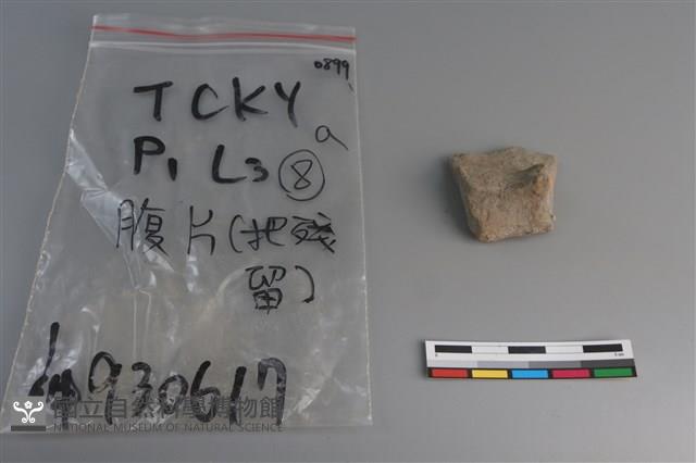 陶片藏品圖，第1張