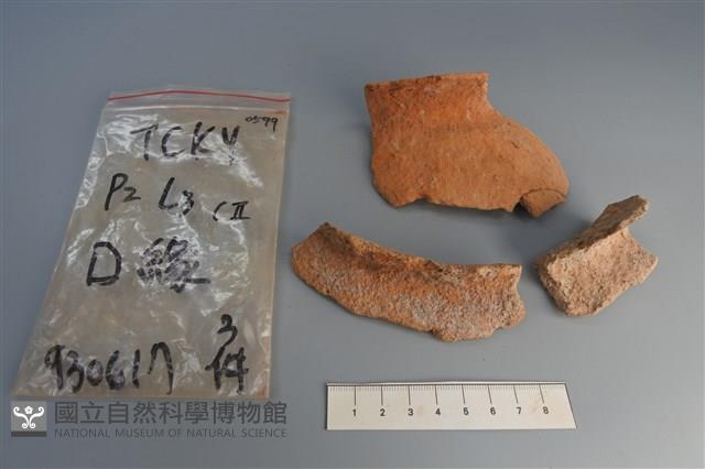 陶片藏品圖，第1張