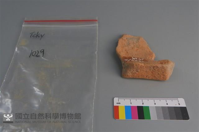 陶片藏品圖，第1張