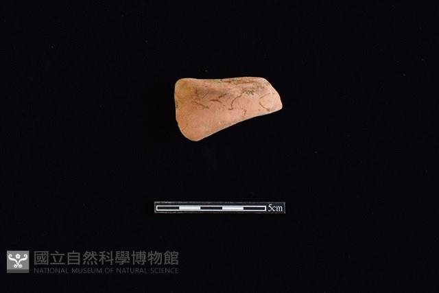 陶片藏品圖，第1張