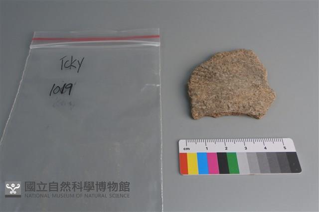 陶片藏品圖，第1張