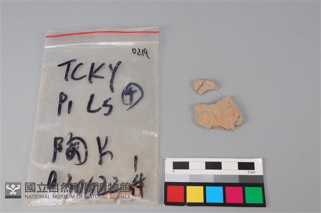 陶片藏品圖，第1張