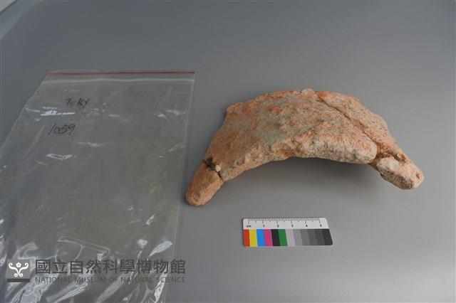 陶片藏品圖，第1張