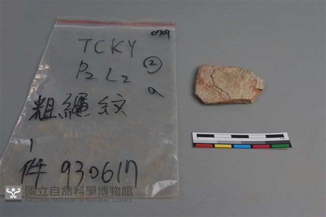 陶片藏品圖，第1張
