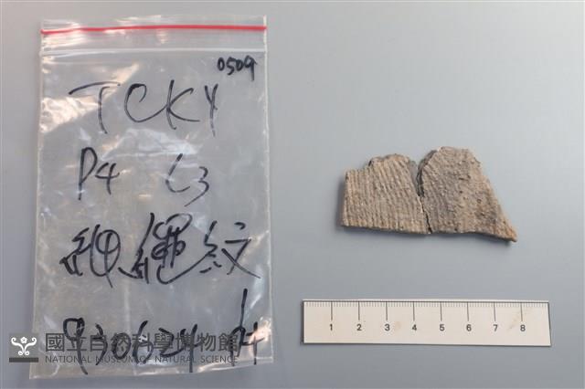 陶片藏品圖，第1張