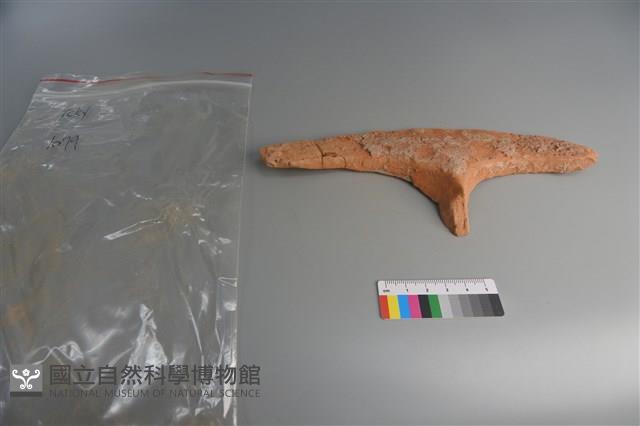 連杯形器藏品圖，第1張