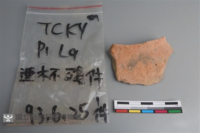 連杯形器藏品圖，第1張