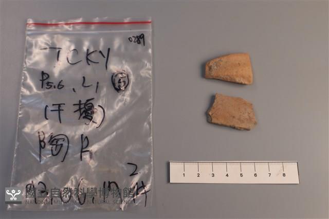 陶片藏品圖，第1張