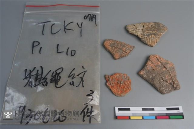 陶片藏品圖，第1張