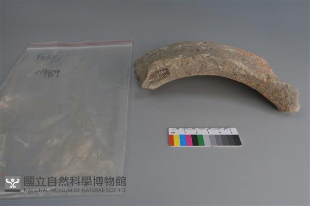 陶片藏品圖，第1張