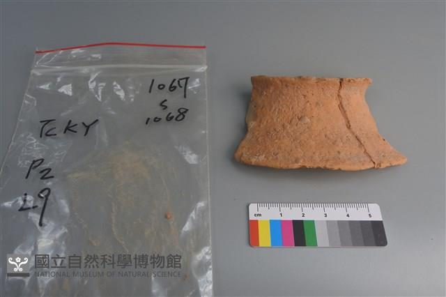 陶片藏品圖，第1張