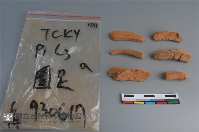 陶片藏品圖，第1張