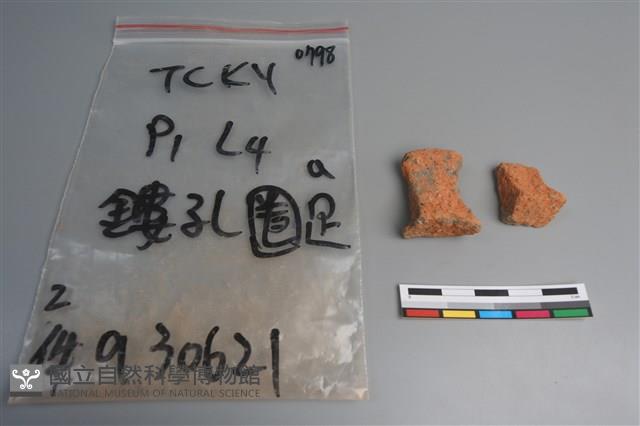 陶片藏品圖，第1張