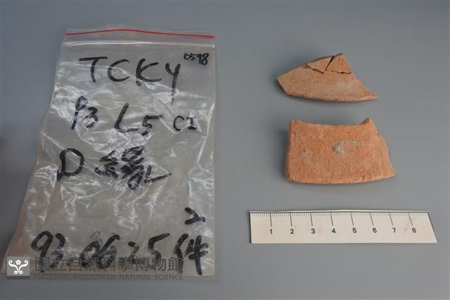 陶片藏品圖，第1張