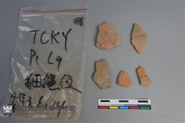 陶片藏品圖，第1張