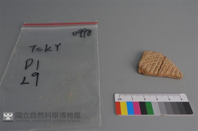 陶片藏品圖，第1張