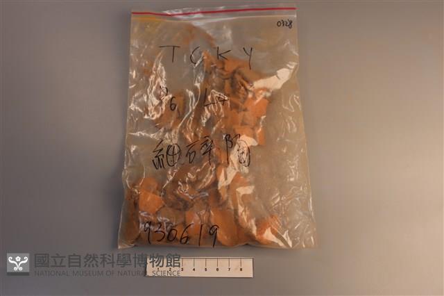 陶片藏品圖，第1張