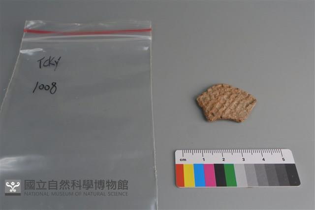 陶片藏品圖，第1張