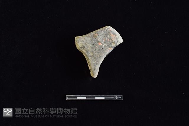 連杯藏品圖，第1張